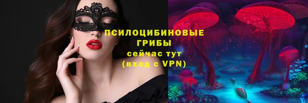 шишки Заводоуковск