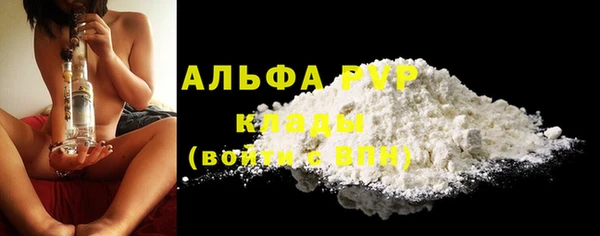 шишки Заводоуковск