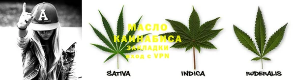 шишки Заводоуковск
