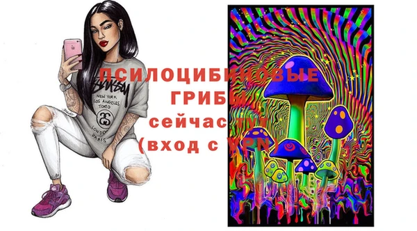 прущие крисы Надым