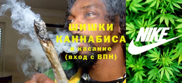 шишки Заводоуковск