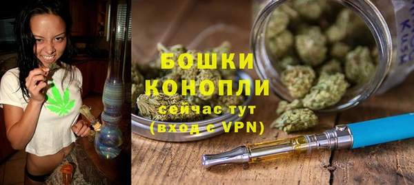 шишки Заводоуковск