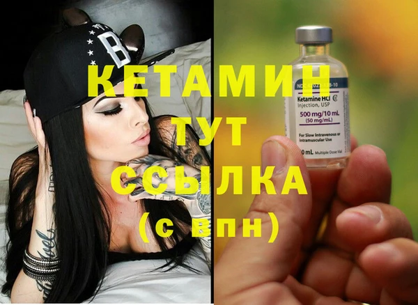 шишки Заводоуковск