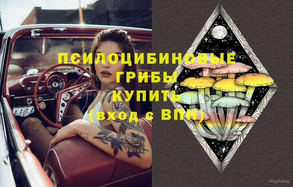 шишки Заводоуковск