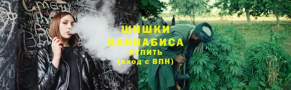 шишки Заводоуковск