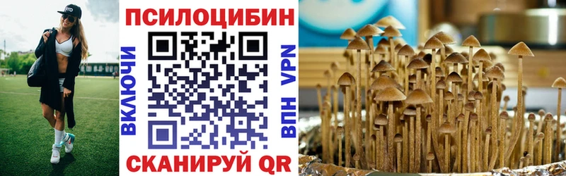 Галлюциногенные грибы мицелий  купить   Инза 